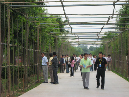“網(wǎng)上看河南”記者參觀(guān)“花都”鄢陵縣花木園區(qū)