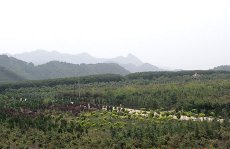 建設綠色礦山