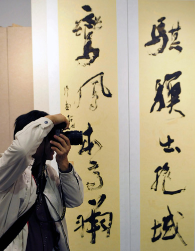 十家書(shū)法展 嶺南翰墨香