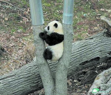哥看的不是天空 是寂寞！