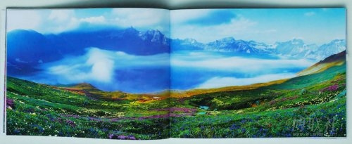 中國攝影金像獎(jiǎng)獲得者4幅作品被指造假