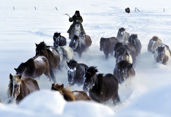 新疆發(fā)生雪災5000余人轉(zhuǎn)移1人死亡(組圖)