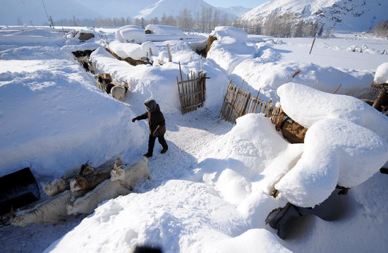 新疆阿勒泰大雪造成7人失蹤14人被困(組圖)