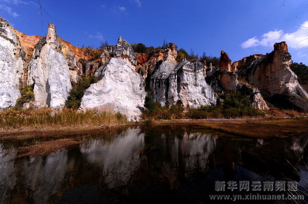 七彩沙林