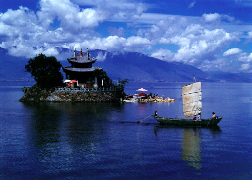 大理洱海：悠悠“杜鵑”情