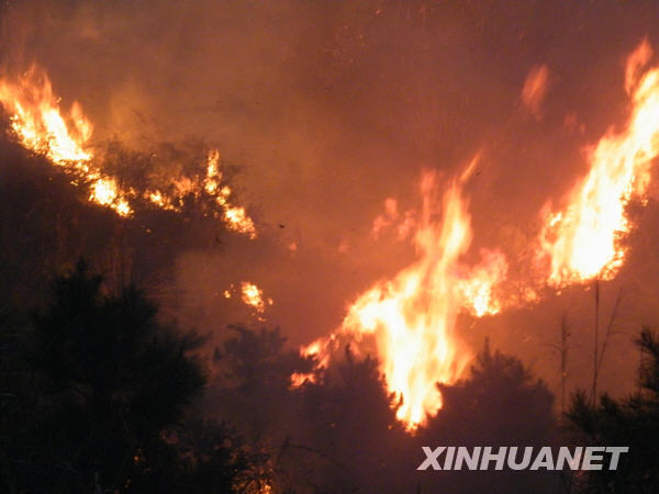 湖南省湘鄉(xiāng)發(fā)生森林大火 百畝森林被燒[圖]