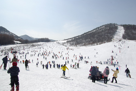 神農(nóng)架滑雪旅游春節(jié)強勢升溫