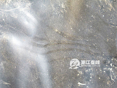 浙江天臺5名遇難兒童死因今公布 家屬擬追究責任