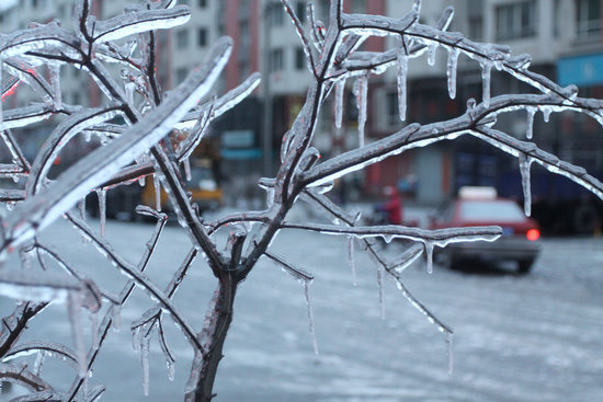 遼寧遭遇10年來(lái)最嚴(yán)重凍雨 高速一度封閉(圖)