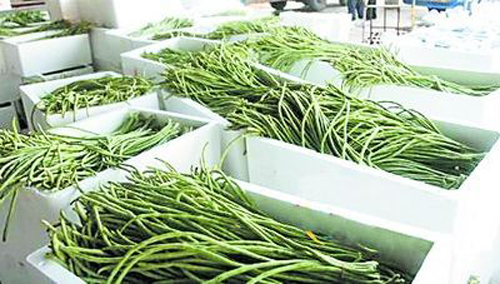 “海南毒豇豆”引出反季節(jié)蔬菜水果食品安全問題