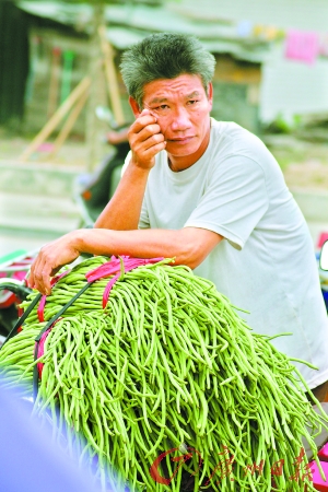 海南豆角節(jié)瓜染毒 蔬果集體受牽連遭遇信任危機(jī)
