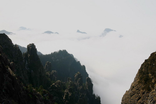 神農(nóng)架出現(xiàn)霧凇和云海的景觀（圖）