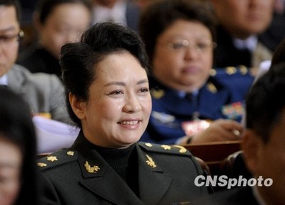 全國(guó)政協(xié)委員彭麗媛力推中華文化“走出去”