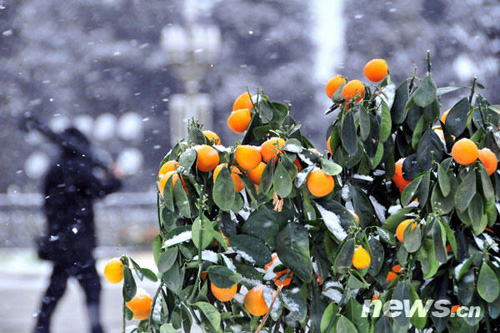 風(fēng)雪天安門
