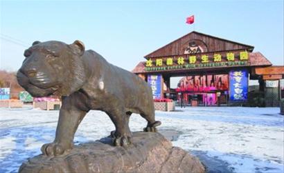 珍貴野生動(dòng)物接連死亡 沈陽(yáng)冰川動(dòng)物園經(jīng)營(yíng)不善遇冷