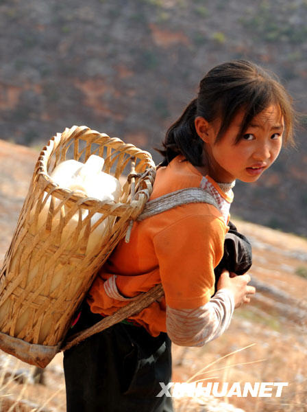 中國西南地區(qū)旱情嚴(yán)重 云南受旱面積占全國過半