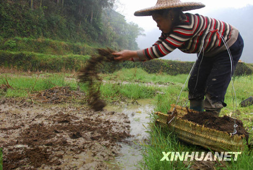 廣西部分旱區(qū)喜降春雨