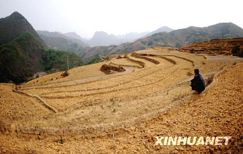 廣西12個市出現(xiàn)旱情 部分地區(qū)達(dá)到特大干旱等級