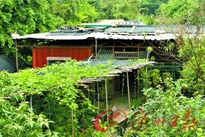 深圳房價(jià)逼近2萬 低價(jià)集裝箱房悄然興起