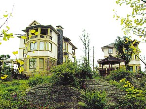 文強受賄名畫經(jīng)鑒定為張大千真跡 約值364萬