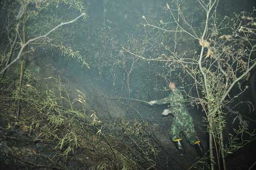 重慶主城區(qū)發(fā)生大面積山火 政府發(fā)緊急通知