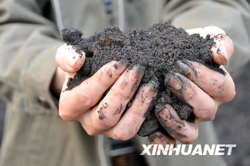 湖南郴州“血鉛超標”事件的調查與反思