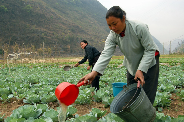 廣西樂(lè)業(yè)旱情嚴(yán)重