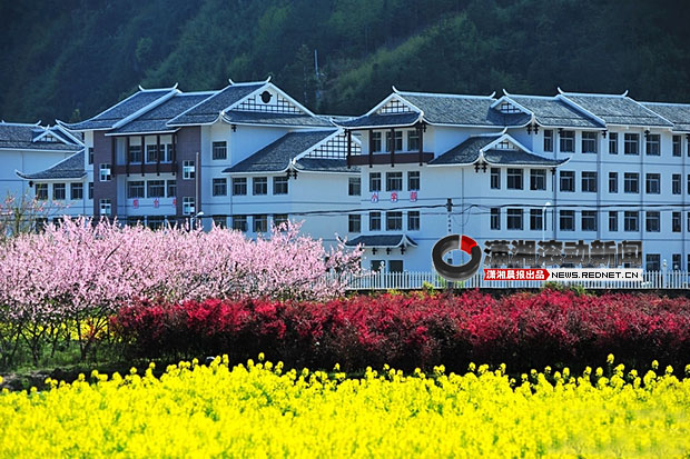 網(wǎng)友曝張家界“最牛鄉(xiāng)村學校”似別墅 耗資4000萬