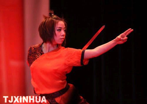 天津：大學(xué)生武術(shù)隊(duì)出訪波蘭、德國(guó)
