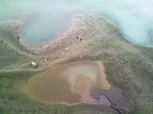南濱路段江水怎么“五顏六色”的？