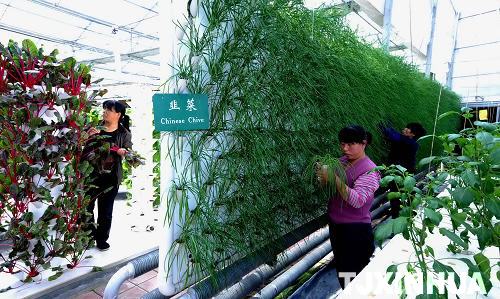 天津推廣新型物理農(nóng)業(yè)技術(shù)