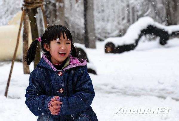 遼寧四月飛雪