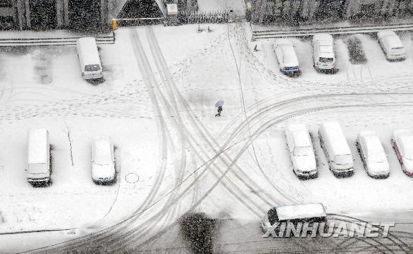 遼寧四月飛雪