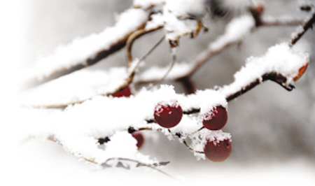 蘇北飛雪，蘇中蘇南飄“霰”