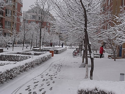 4月16日晨長(zhǎng)春普降瑞雪