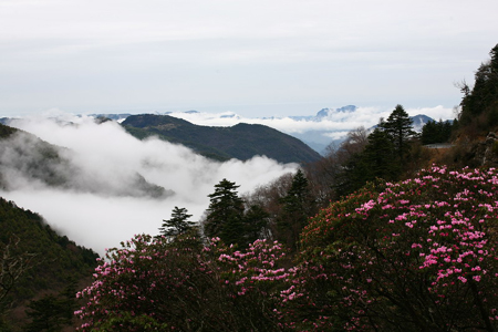 神農(nóng)架公布旅游節(jié)景區(qū)門票優(yōu)惠政策