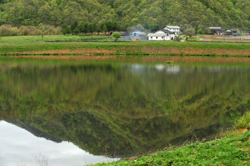 神農(nóng)架高山濕地大九湖掠影