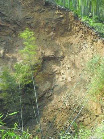 四川長寧“天坑”增至43個(gè) 附近村民已及時(shí)疏散