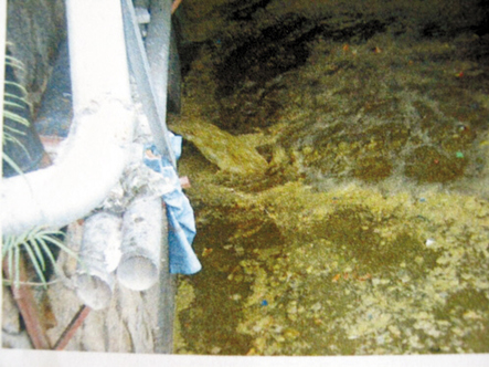 深圳最大水庫(kù)流入大量糞便 影響千萬(wàn)人飲水(圖)