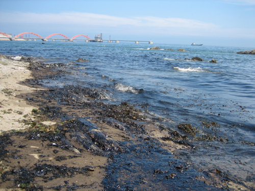 大連新港輸油管道爆炸原因開始調(diào)查