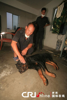 29只警犬服驅(qū)蟲(chóng)藥后死亡