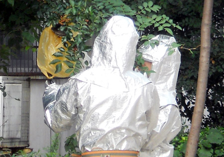 毒蜂頻頻傷人 河南漯河一小區(qū)居民不敢出門