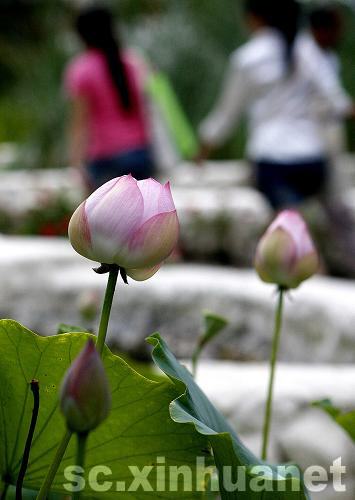 世博會(huì)成都案例館：神奇公園每日凈化15噸污水