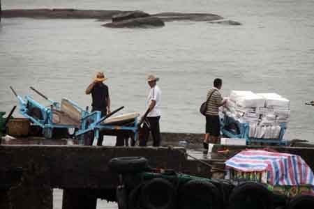 廈門突降陣雨 鼓浪嶼游客清涼旅行