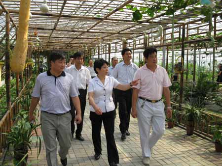 江蘇副省長(zhǎng)黃莉新考察黃橋老區(qū)現(xiàn)代高效農(nóng)業(yè)