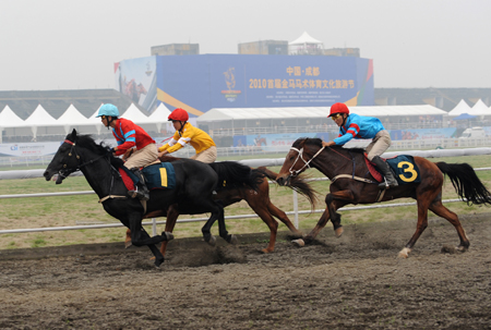 中國(guó)成都-2010首屆金馬馬術(shù)體育文化旅游節(jié)