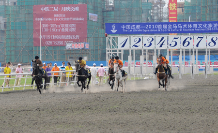 中國(guó)成都-2010首屆金馬馬術(shù)體育文化旅游節(jié)