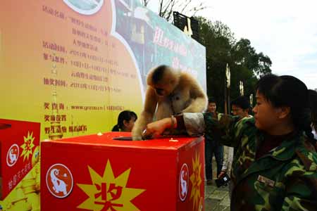 十·一逛云南野生動(dòng)物園 贏版納免費(fèi)游