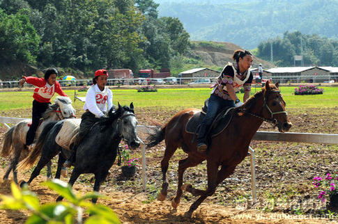 云南少數(shù)民族傳統(tǒng)體育運(yùn)動(dòng)會(huì)賽馬比賽舉行