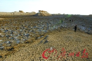羅布泊最大規(guī)?？瓶冀Y(jié)束 發(fā)現(xiàn)大面積農(nóng)耕遺跡